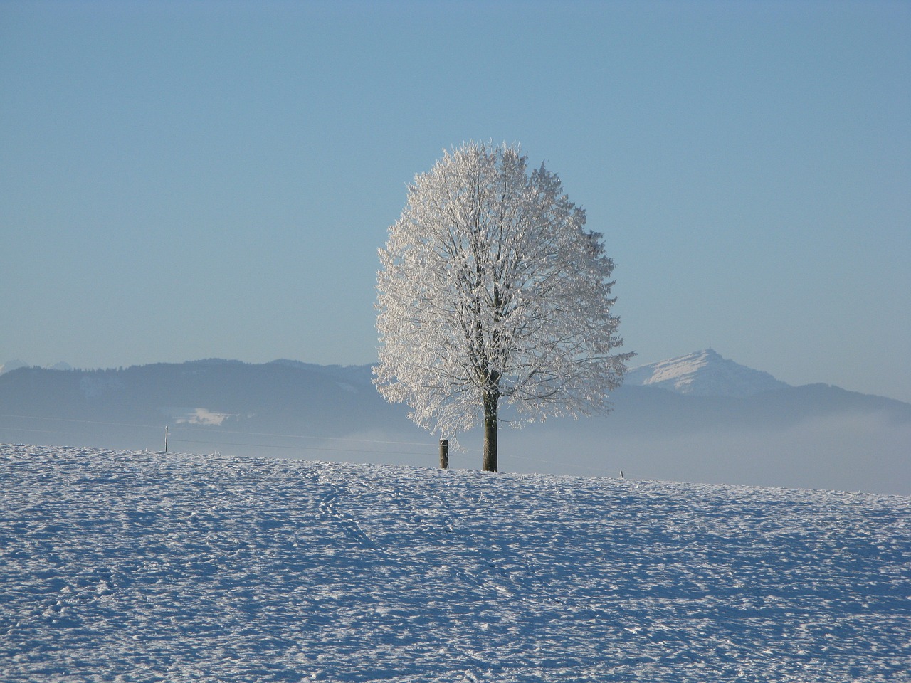 Je bekijkt nu Winter