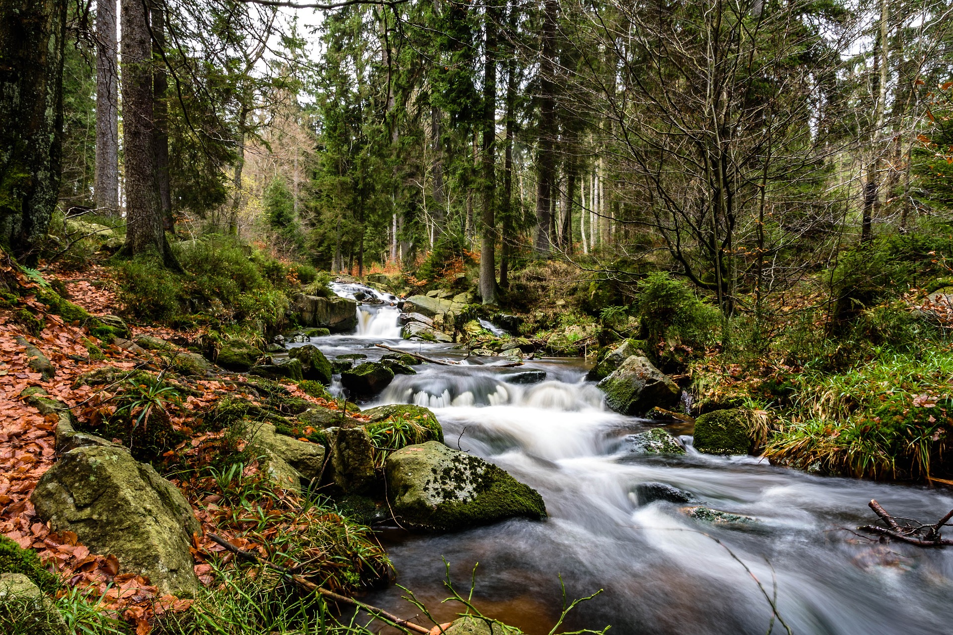 Je bekijkt nu Hulp van de natuur